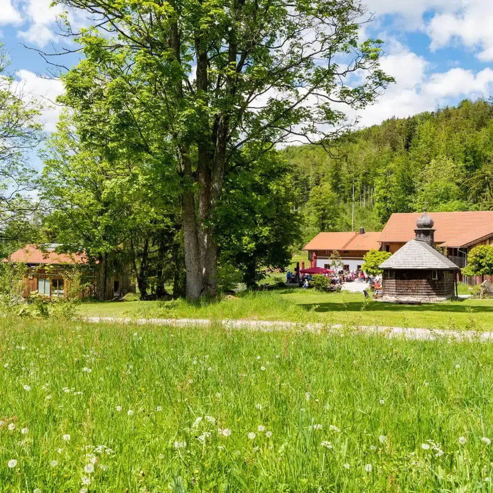 Bergparadies in Bodenmais - Harlachberg Bayerischer Wald